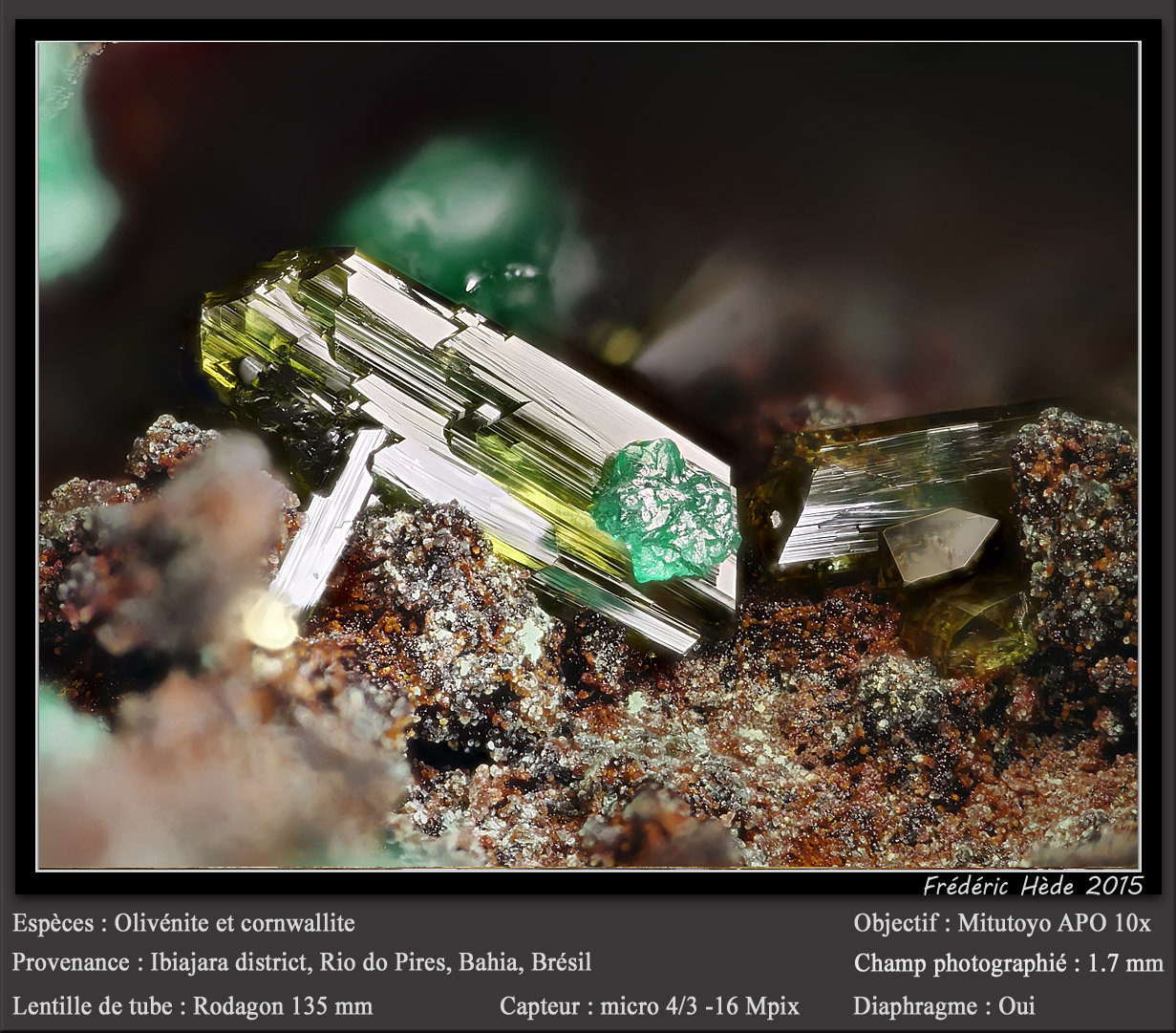 Olivenite and Cornwallite
fov 2.6 mm
(Autor: ploum)