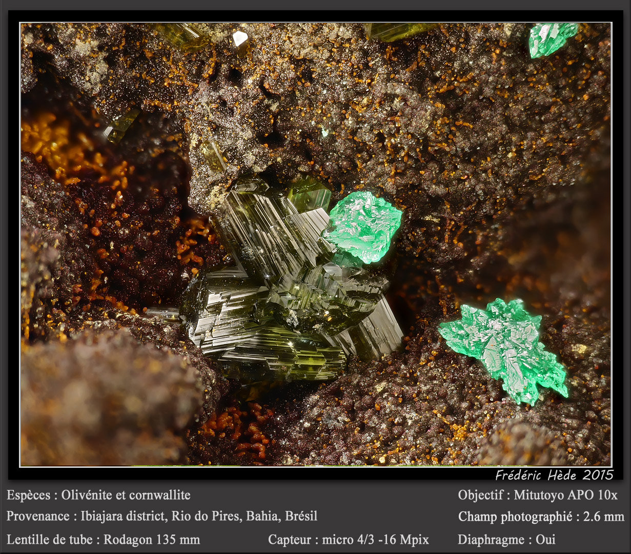 Olivenite and Cornwallite
fov 2.6 mm
(Autor: ploum)