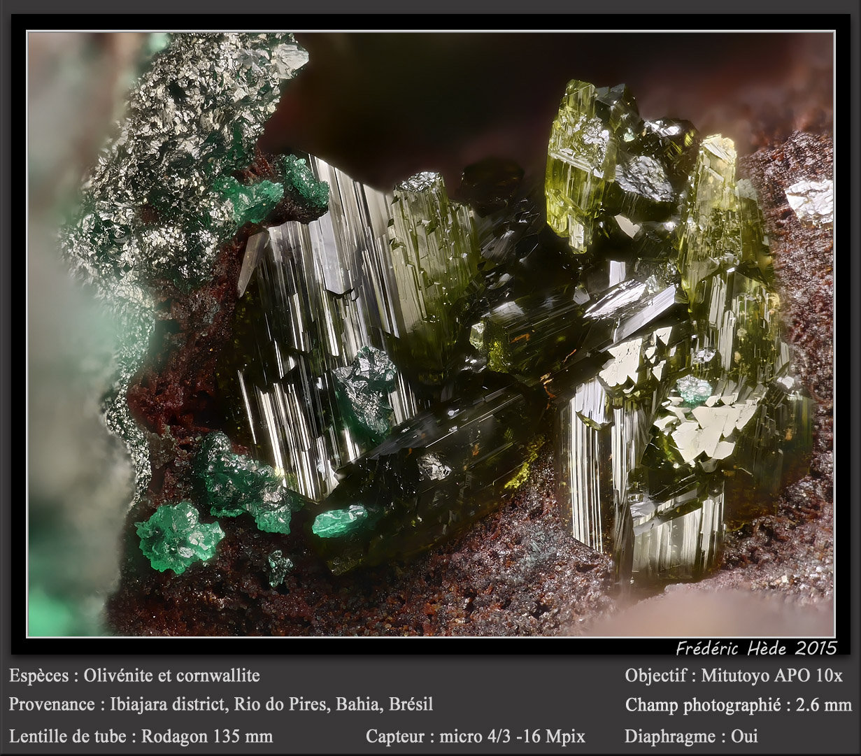Olivenite and Cornwallite
fov 2.6 mm
(Autor: ploum)