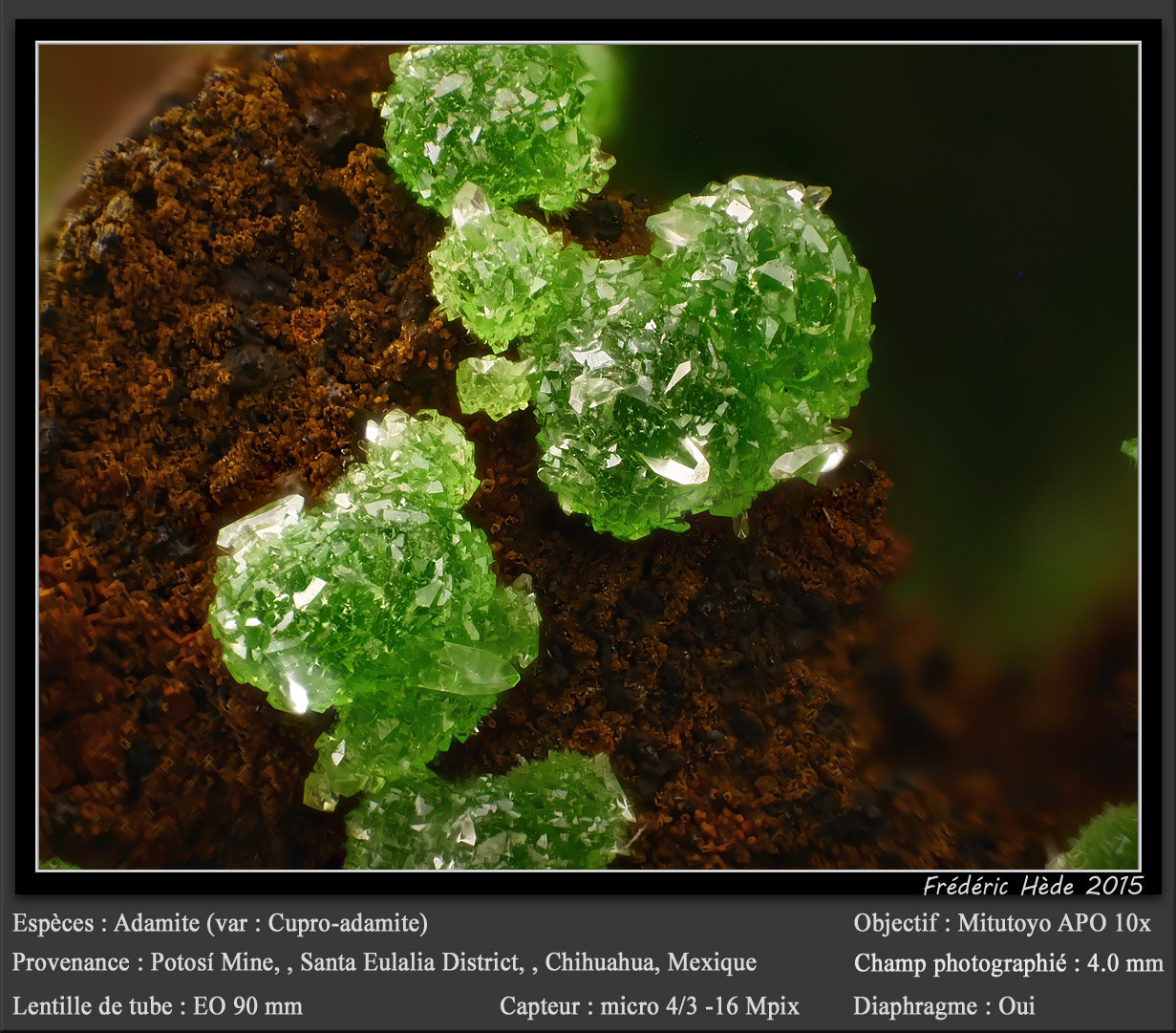 Adamite (variety cuprian adamite)
fov 4 mm
(Autor: ploum)