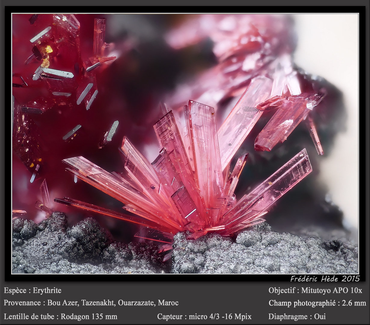 Erythrite
fov 2.6 mm
(Autor: ploum)