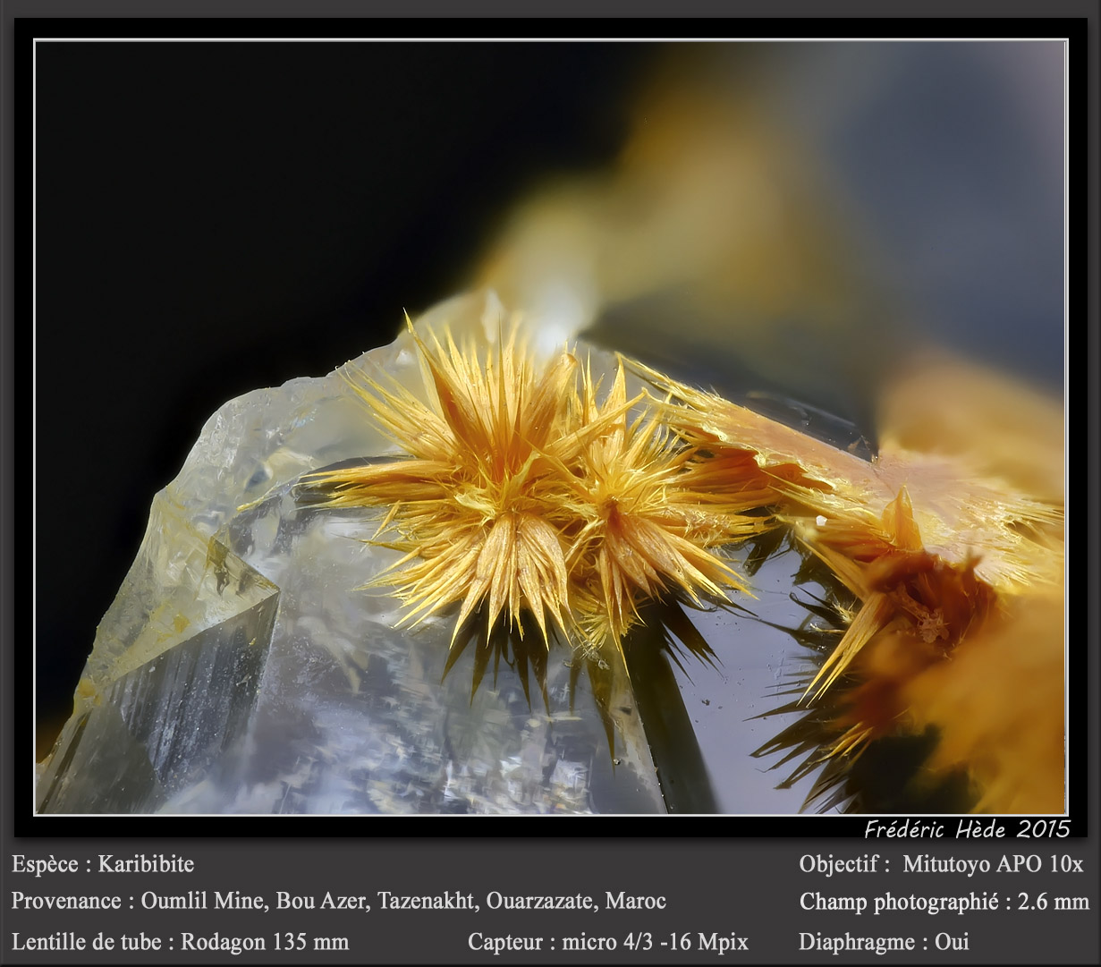 Karibibite
fov 2.6 mm
(Autor: ploum)