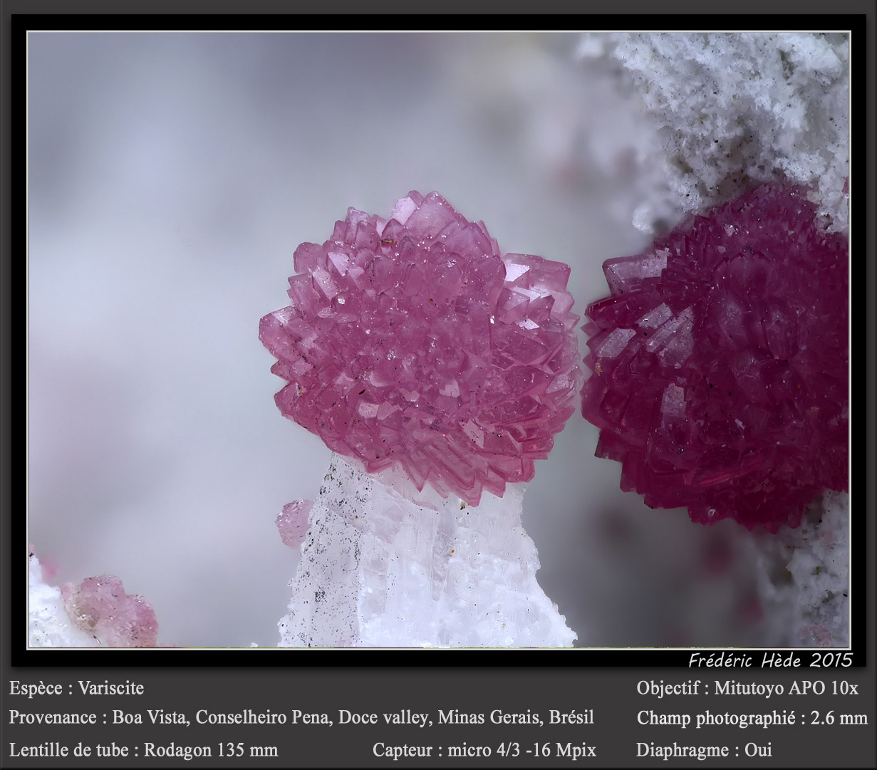 Variscite
fov 2.6 mm
(Autor: ploum)
