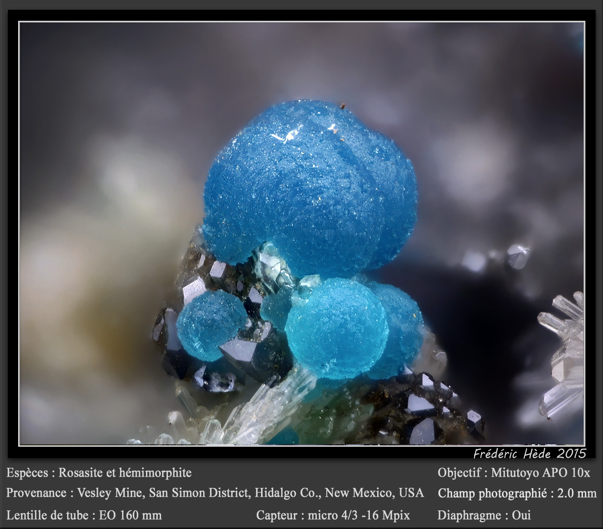Rosasite and Hemimorphite
fov 2.0 mm
(Autor: ploum)