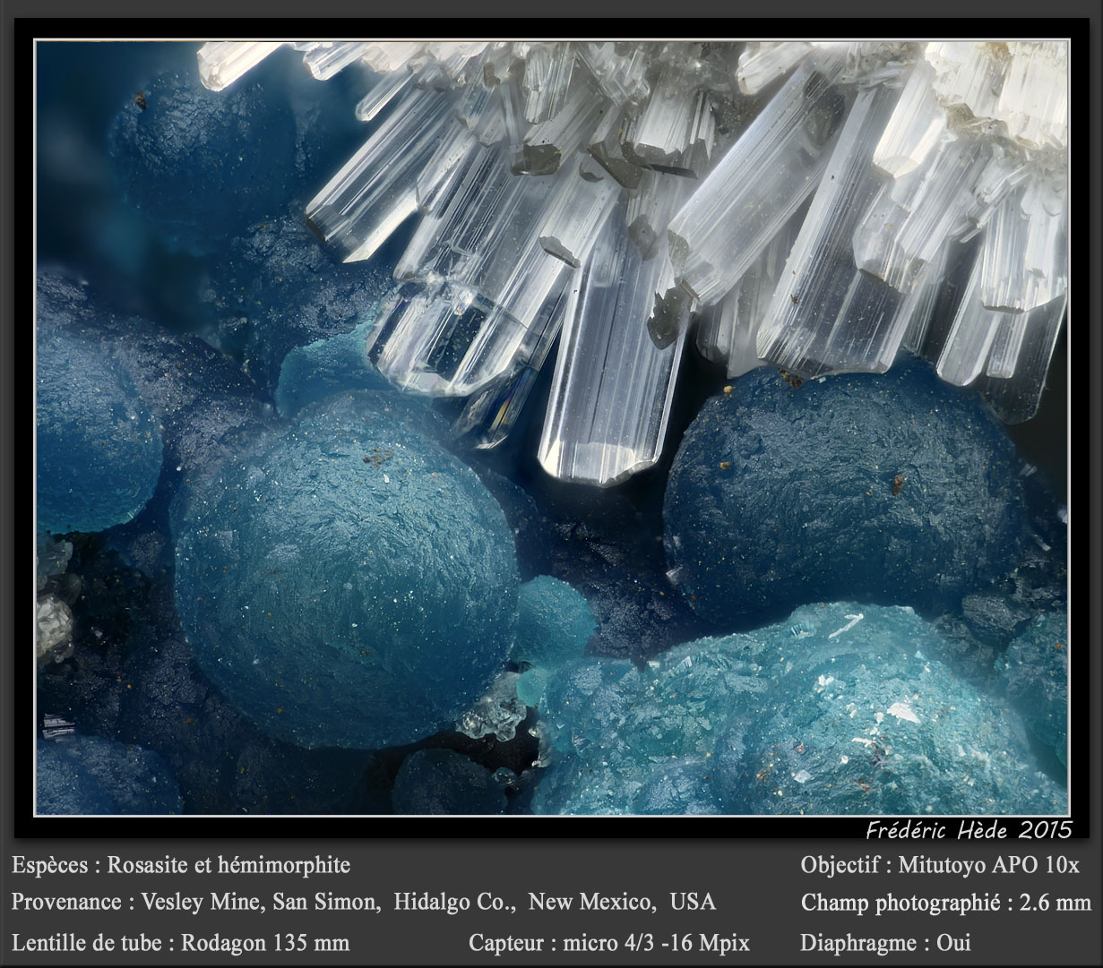 Rosasite and Hemimorphite
fov 2.6 mm
(Autor: ploum)
