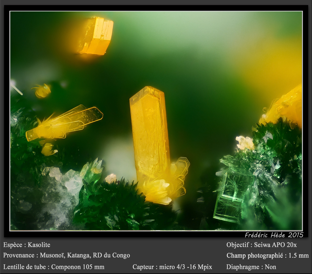 Kasolite
fov 1.5 mm
(Autor: ploum)