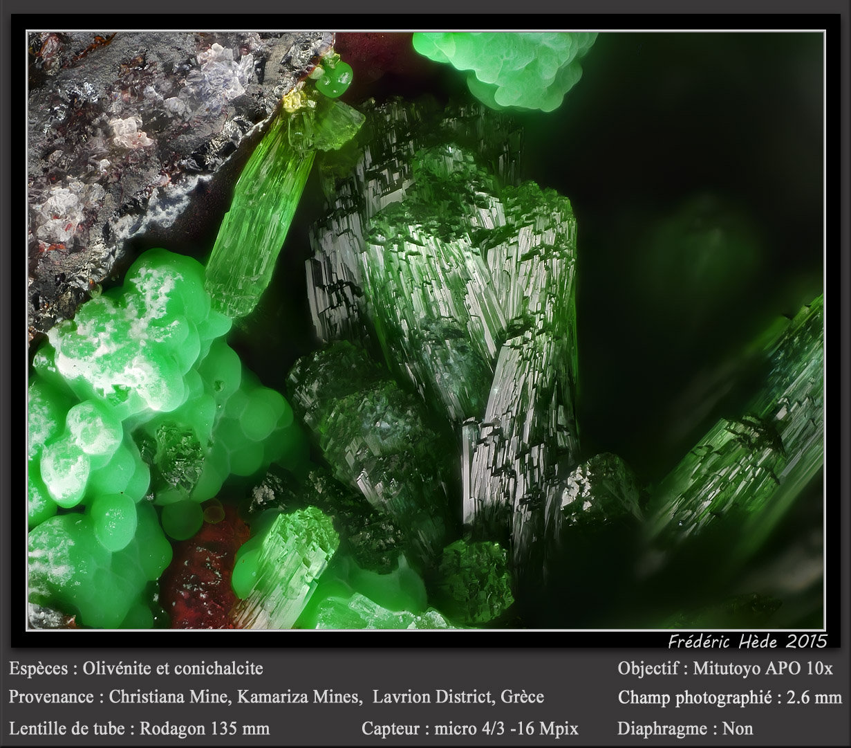 Olivenite
fov 2.6 mm
(Autor: ploum)
