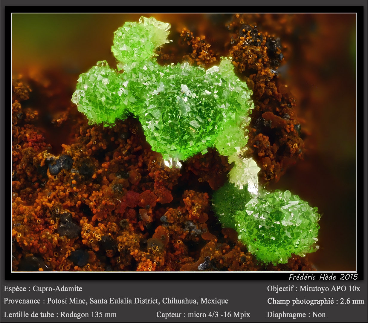 Adamite (variety cuprian adamite)
fov 2.6 mm
(Autor: ploum)