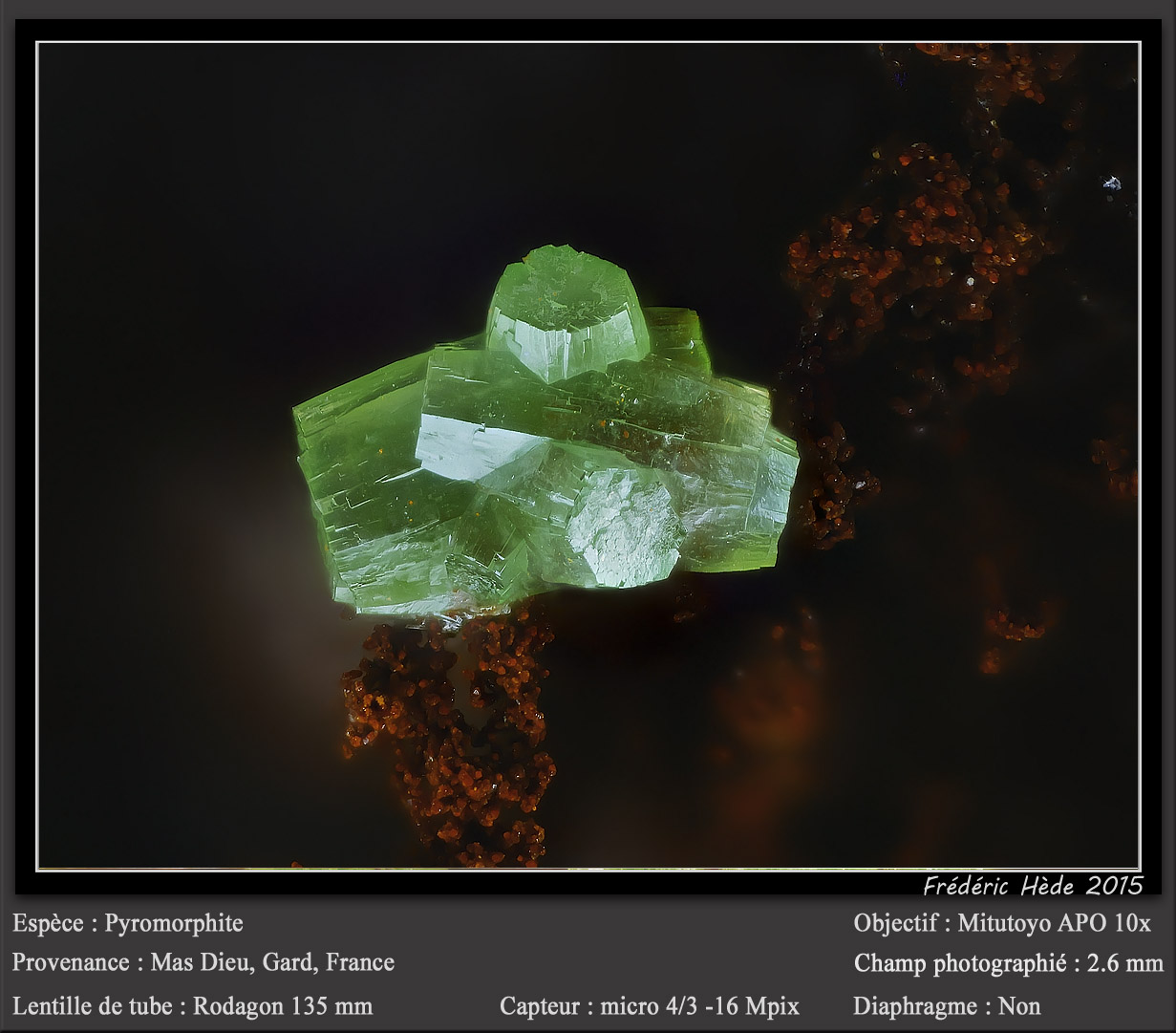 Pyromorphite
fov 2.6 mm
(Autor: ploum)