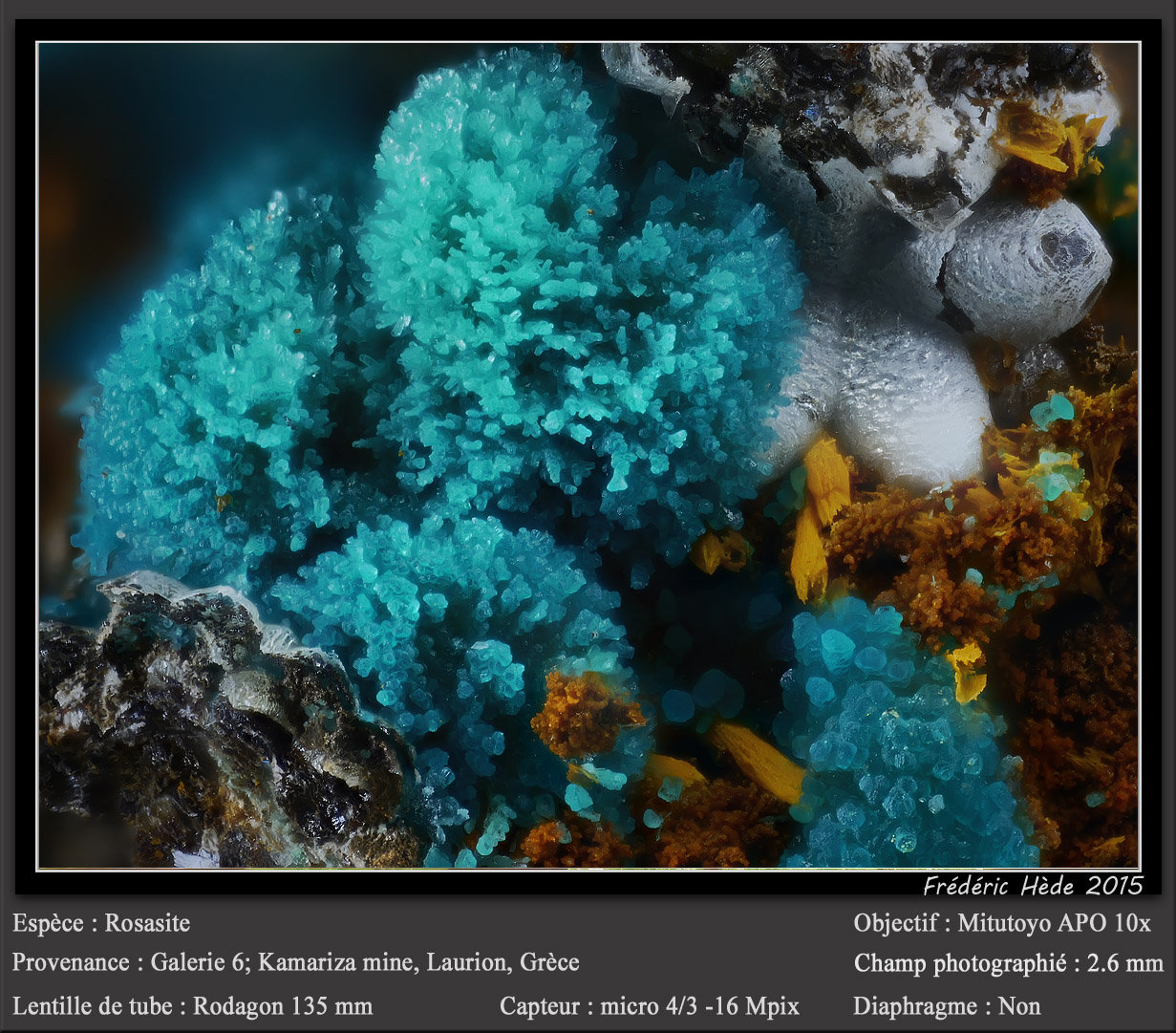 Rosasite
fov 2.6 mm
(Autor: ploum)