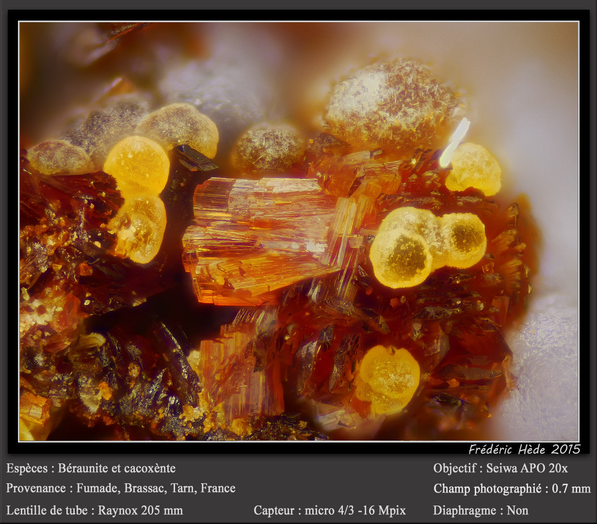 Beraunite and Cacoxenite
fov 0.7 mm
(Autor: ploum)