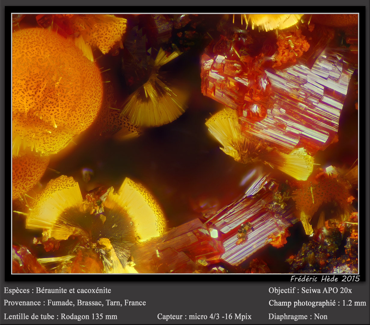 Beraunite and Cacoxenite
fov 0.9 mm
(Autor: ploum)