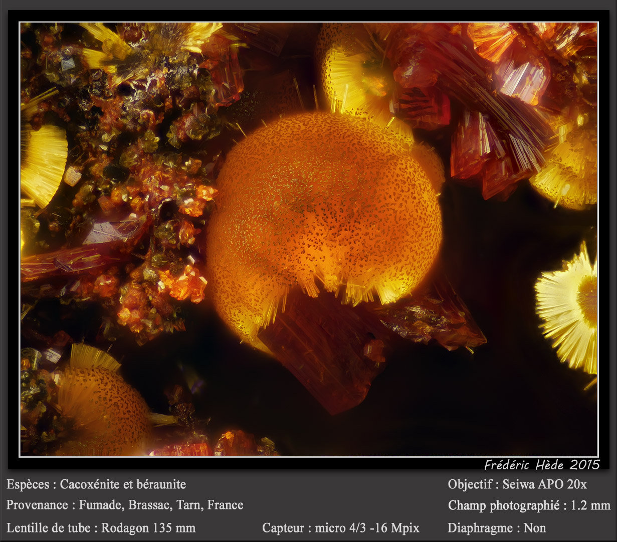 Cacoxenite and Beraunite
fov 0.9 mm
(Autor: ploum)