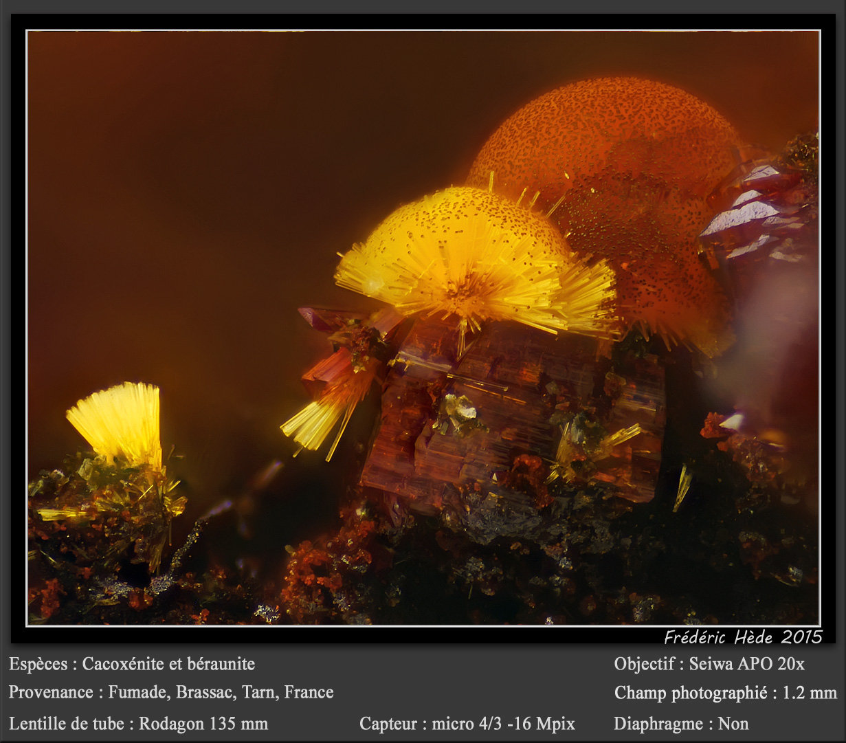 Cacoxenite and Beraunite
fov 0.9 mm
(Autor: ploum)
