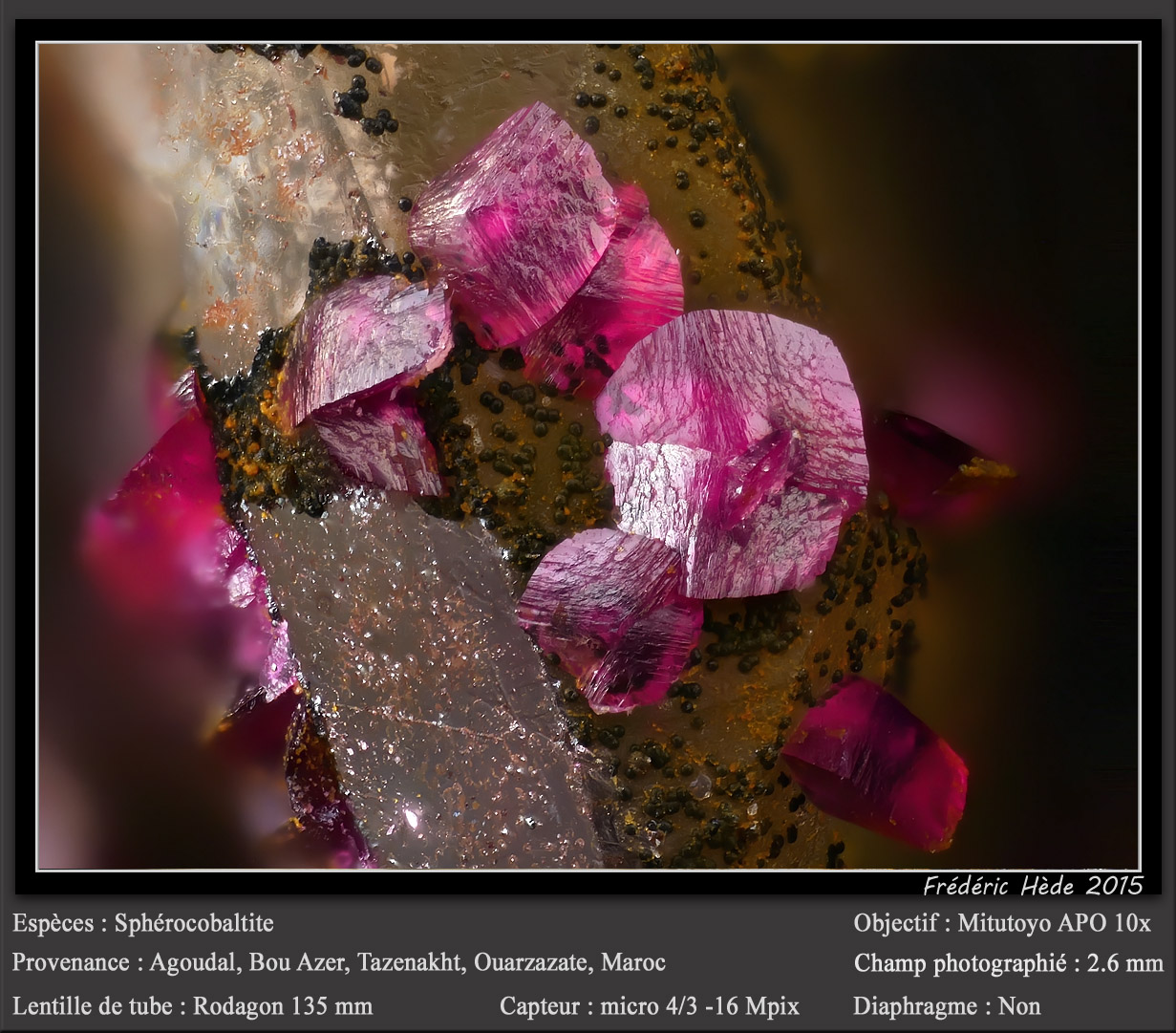 Spherocobaltite
fov 2.6 mm
(Autor: ploum)