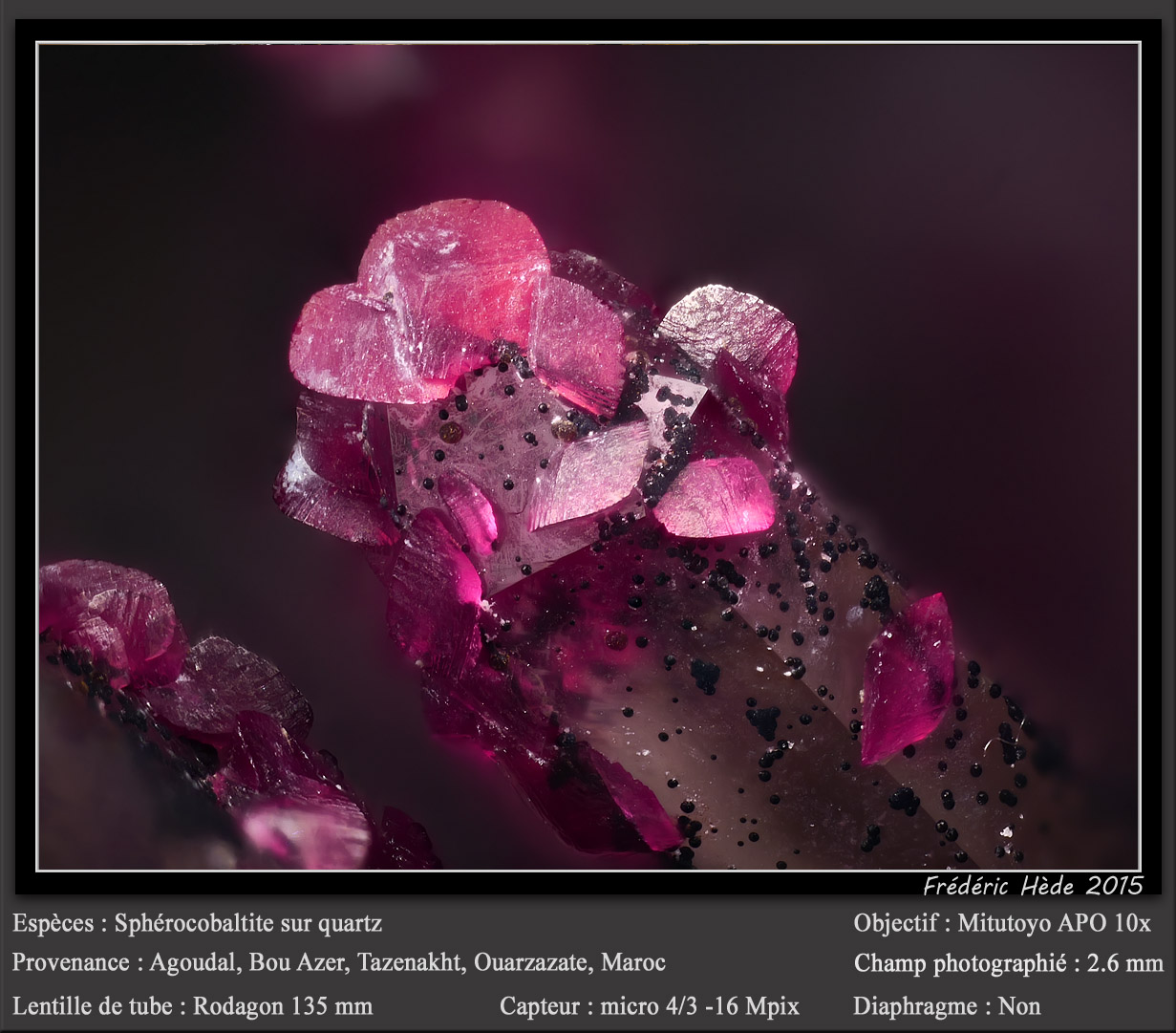 Spherocobaltite
fov 2.6 mm
(Autor: ploum)