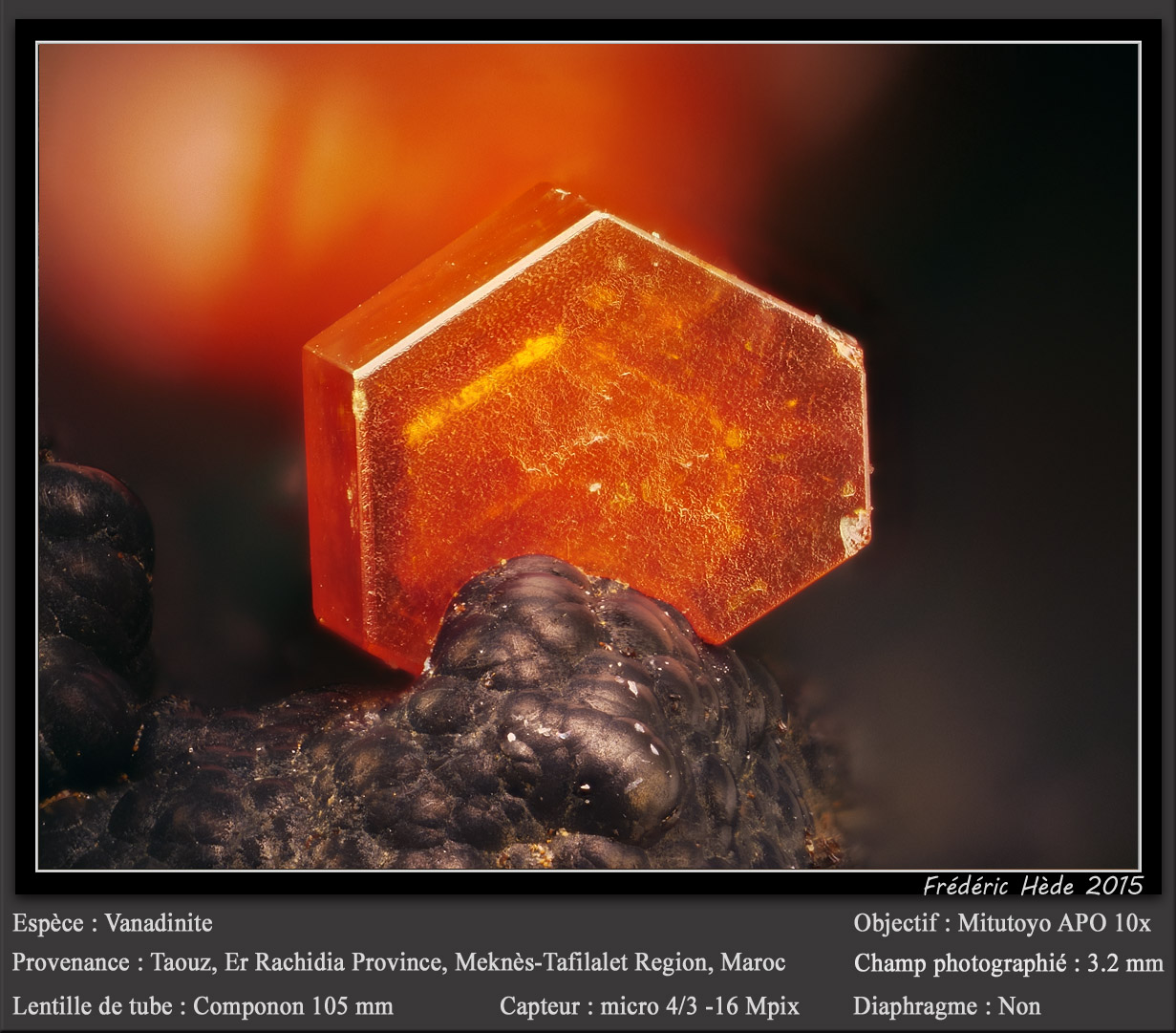Vanadinite
fov 3.2 mm
(Autor: ploum)