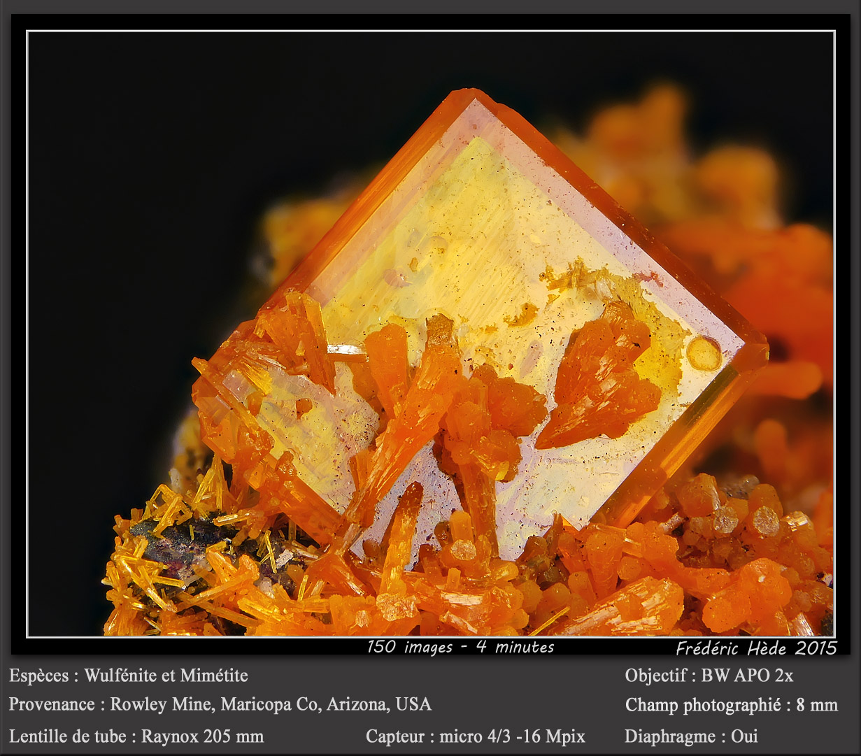 Wulfenite
fov 8 mm
(Autor: ploum)