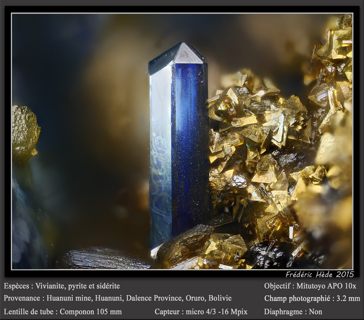 Vivianite, Siderite and Pyrite
fov 3.2 mm
(Autor: ploum)