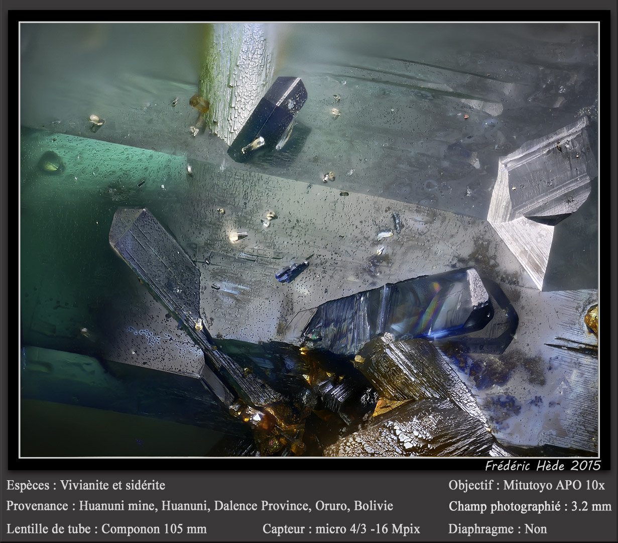 Vivianite with Siderite
fov 3.2 mm
(Autor: ploum)