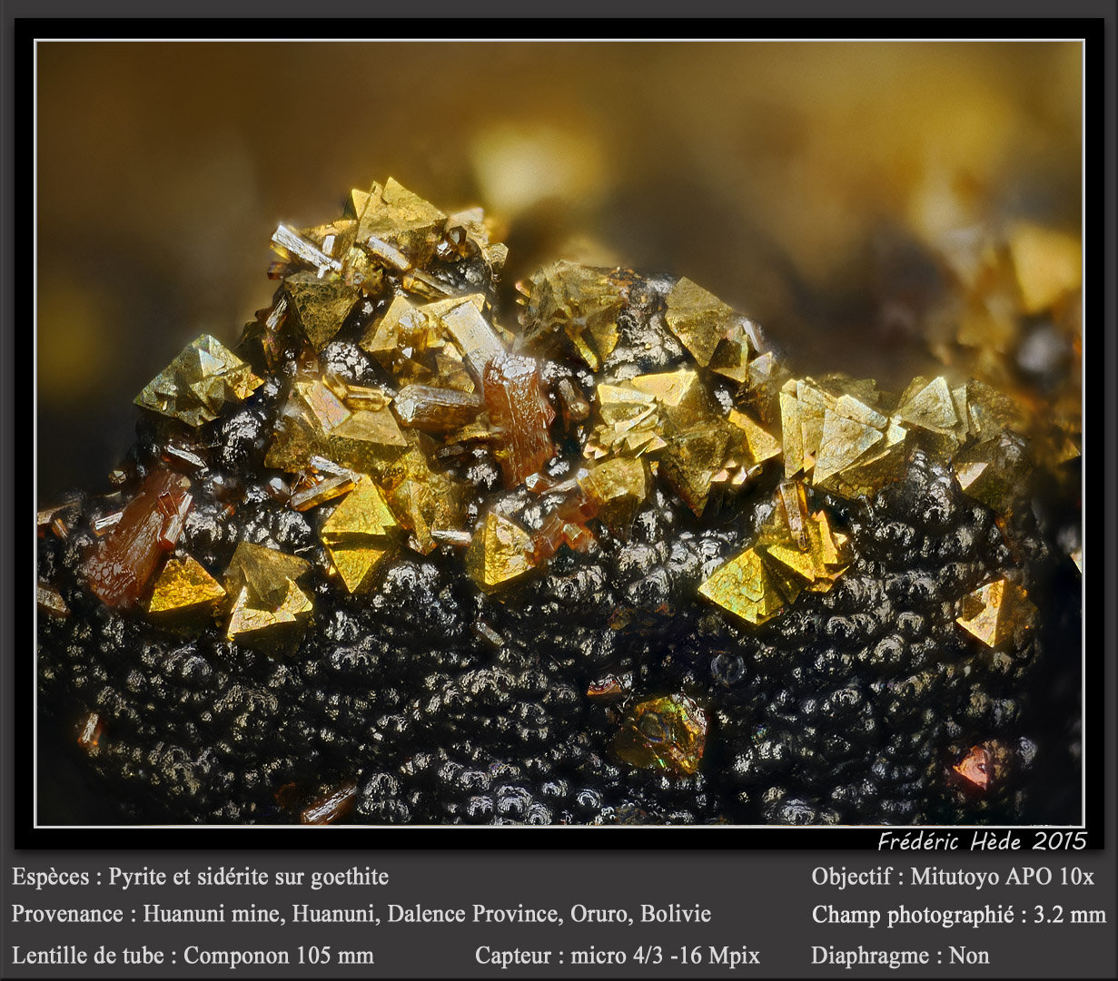 Pyrite, Siderite and Goethite
fov 3.2 mm
(Autor: ploum)