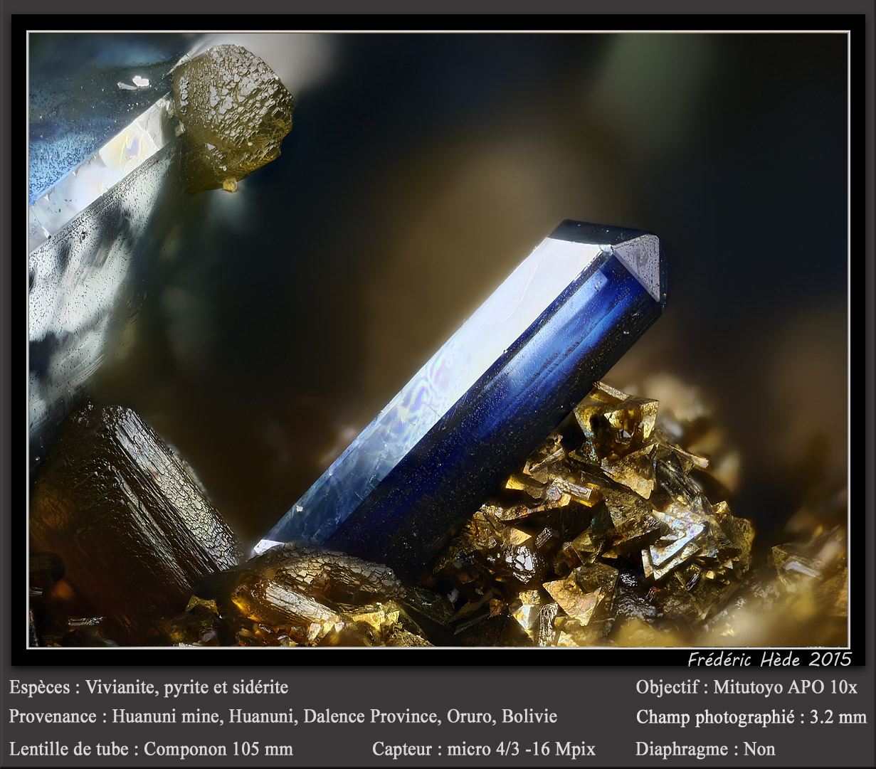 Vivianite with Siderite and Pyrite
fov 3.2 mm
(Autor: ploum)