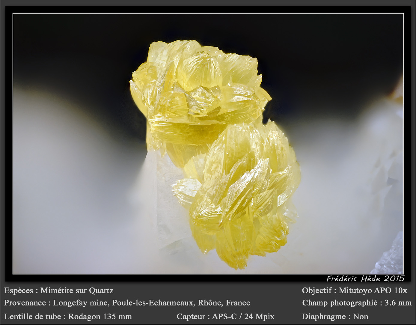 Mimetite on Quartz
fov 3.6 mm
(Autor: ploum)
