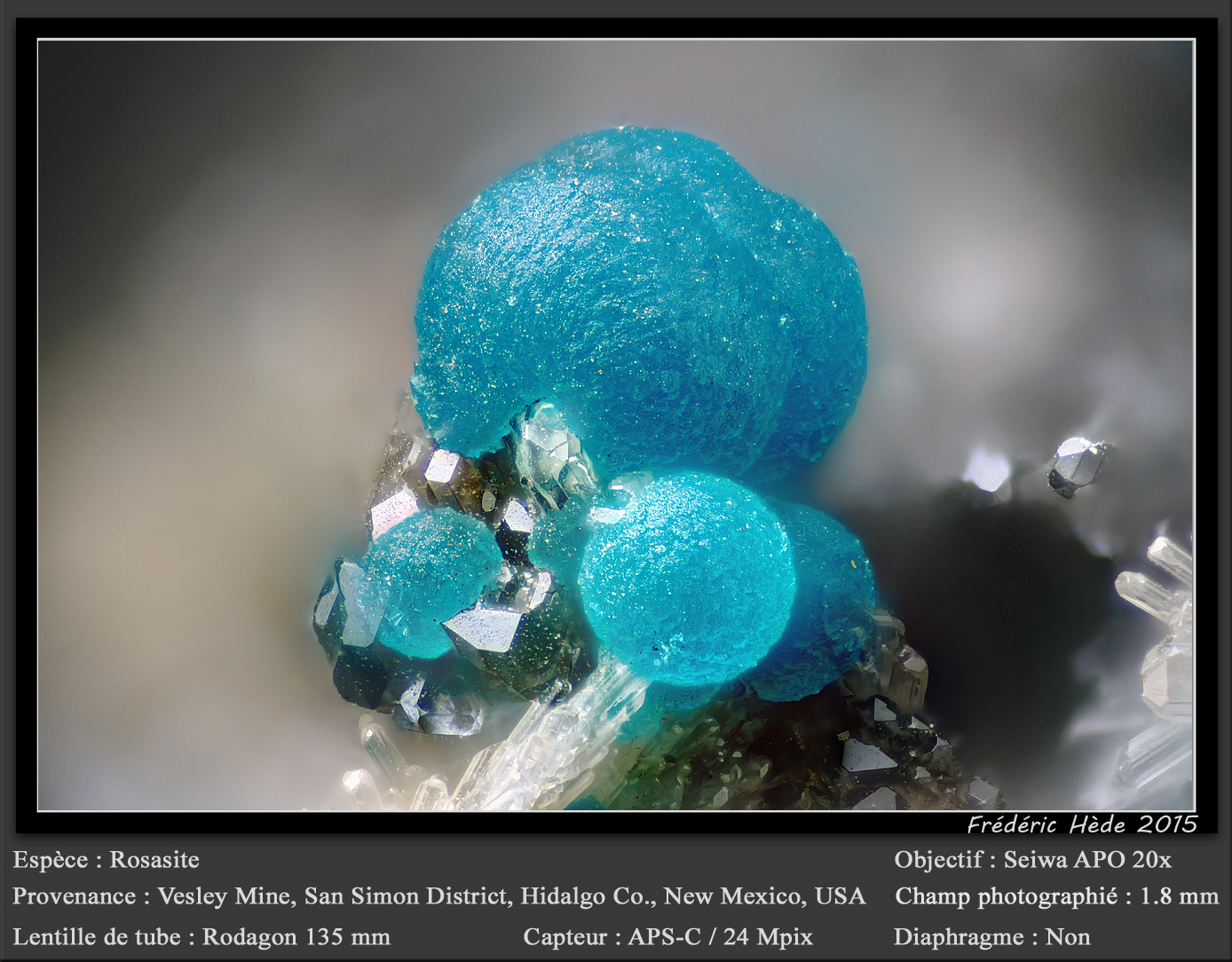 Rosasite and Hemimorphite
fov 1.8 mm
(Autor: ploum)