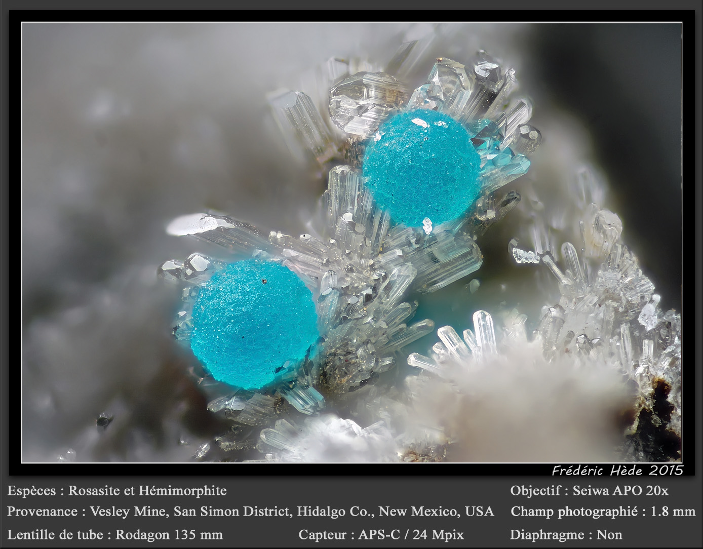 Rosasite and Hemimorphite
fov 1.8 mm
(Autor: ploum)