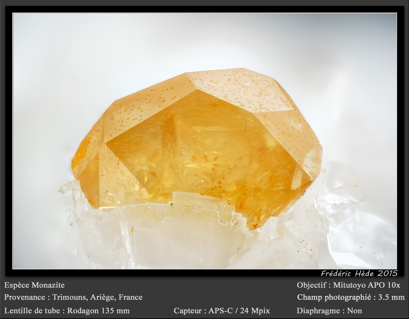 Monazite
fov 3.6 mm
(Autor: ploum)
