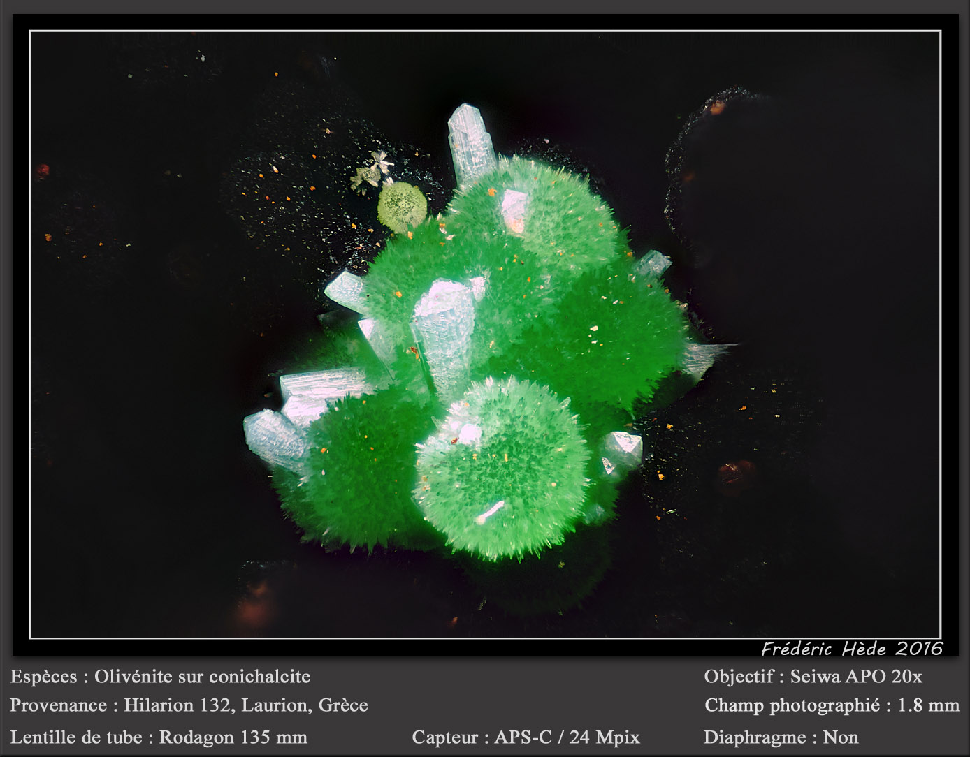 Olivenite and Conichalcite
fov 1.8 mm
(Autor: ploum)