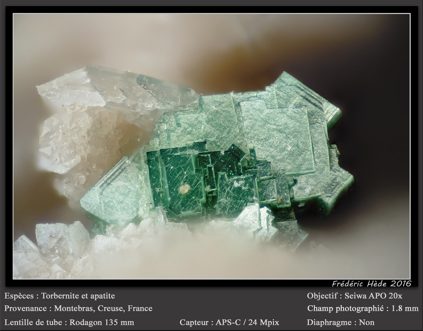 Torbernite and Apatite (Group)
1.8 mm
(Autor: ploum)