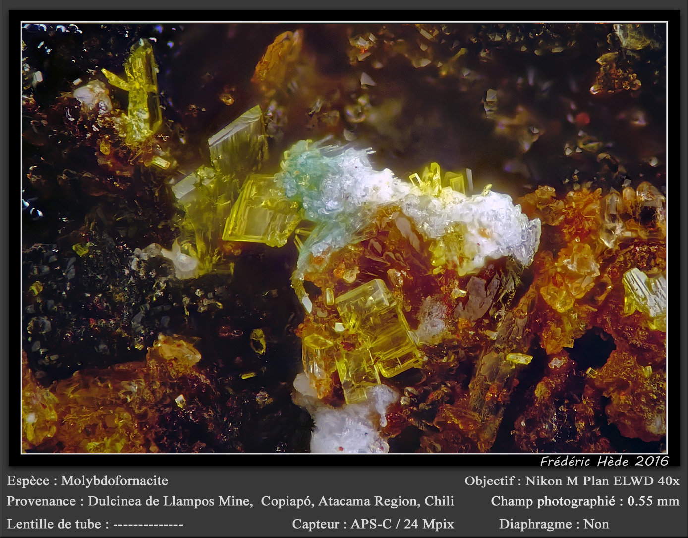 Molybdofornacite
0.55 mm
(Autor: ploum)