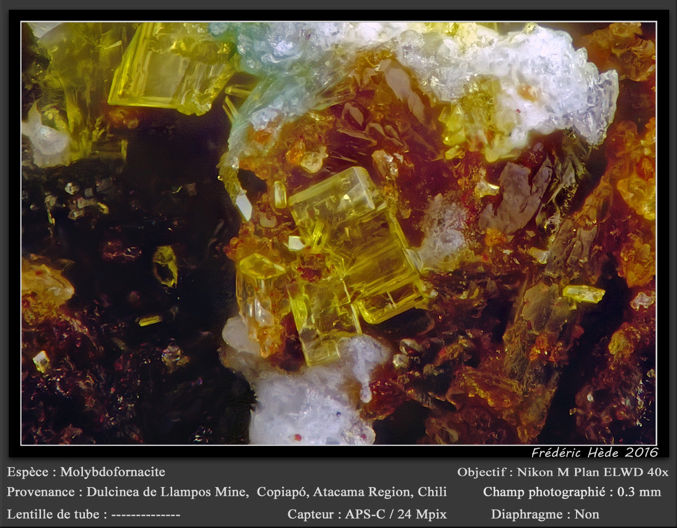 Molybdofornacite
0.3 mm
(Autor: ploum)