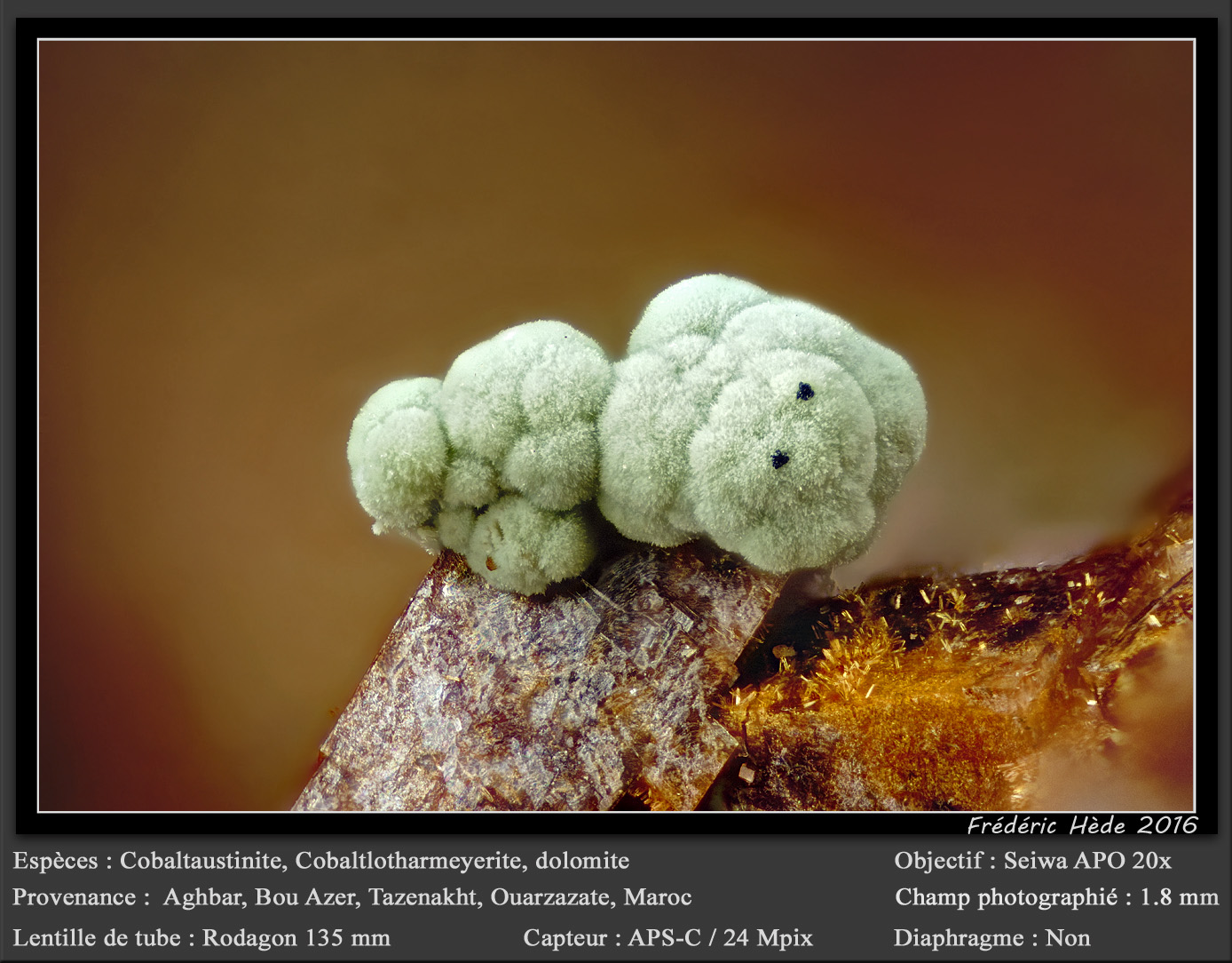 Cobaltaustinite, Cobaltlotharmeyerite, Dolomite
fov 1.8 mm
(Autor: ploum)