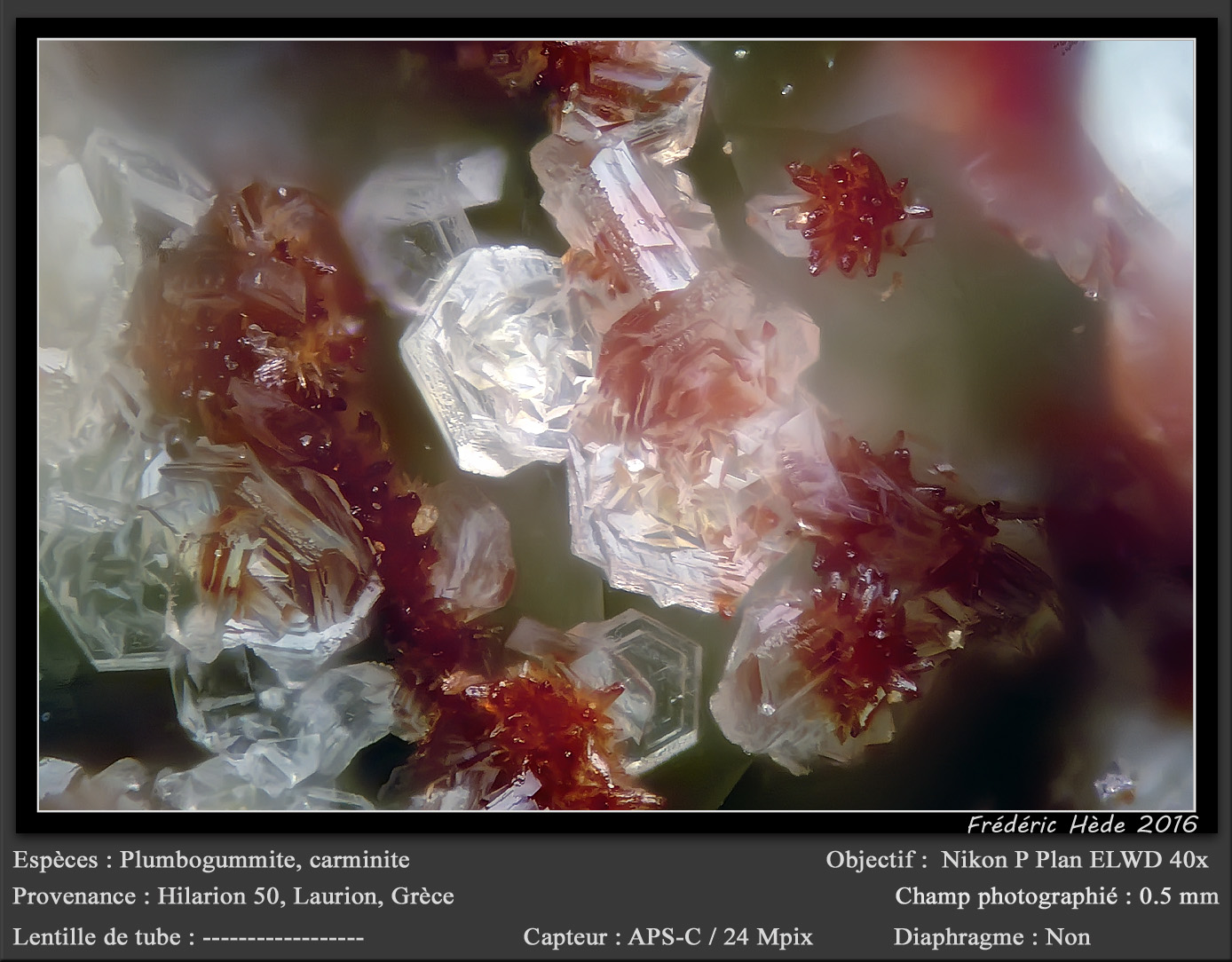 Plumbogummite and Carminite
fov 0.5 mm
(Autor: ploum)