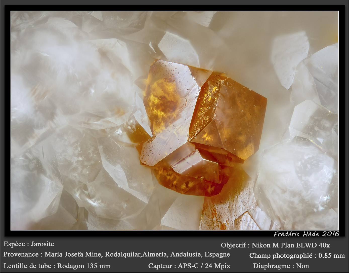 Jarosite
fov 0.85 mm
(Autor: ploum)