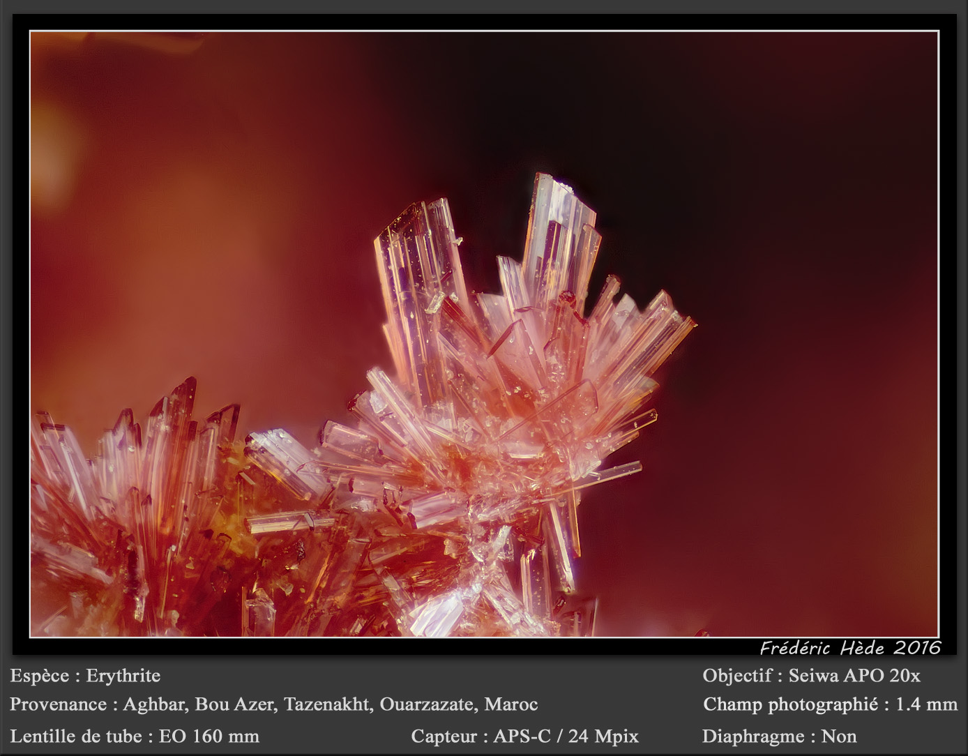 Erythrite
fov 1.4 mm
(Autor: ploum)