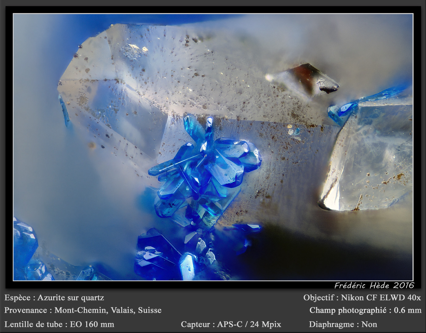 Azurite on Quartz
fov 0.6 mm
(Autor: ploum)