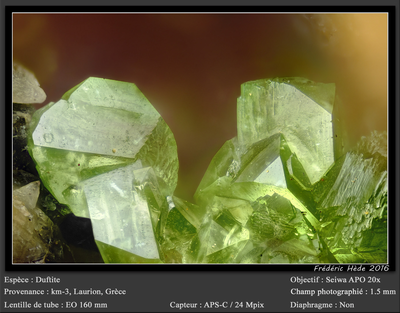 Duftite
fov 1.5 mm
(Autor: ploum)