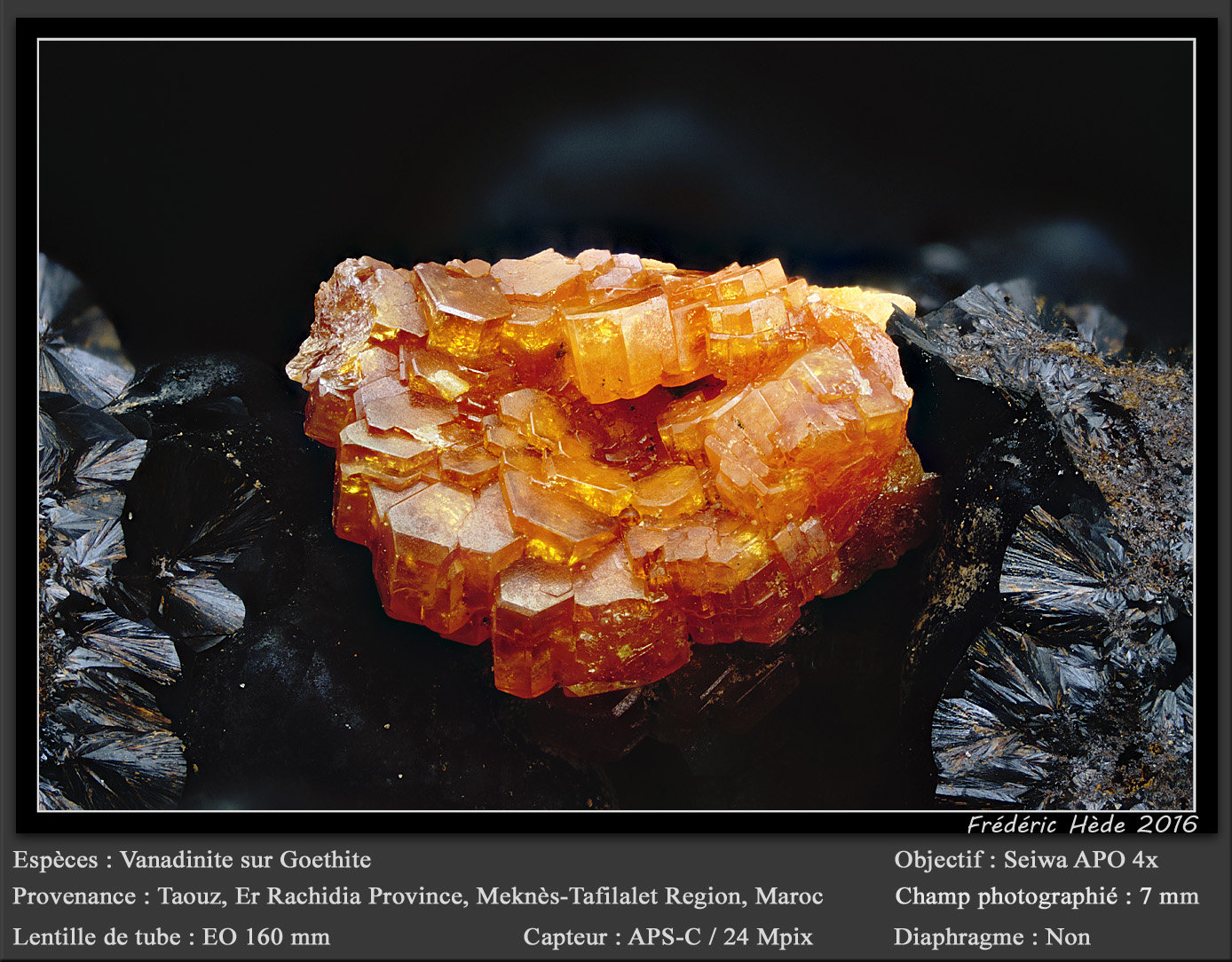 Vanadinite on Goethite
fov 7 mm
(Autor: ploum)
