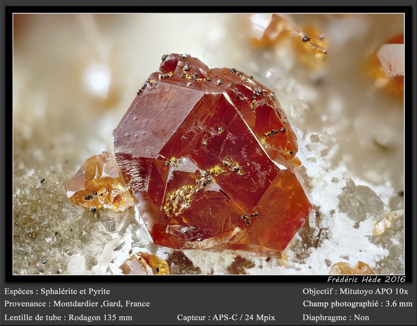 Sphalerite and Pyrite
fov 3.6 mm
(Autor: ploum)