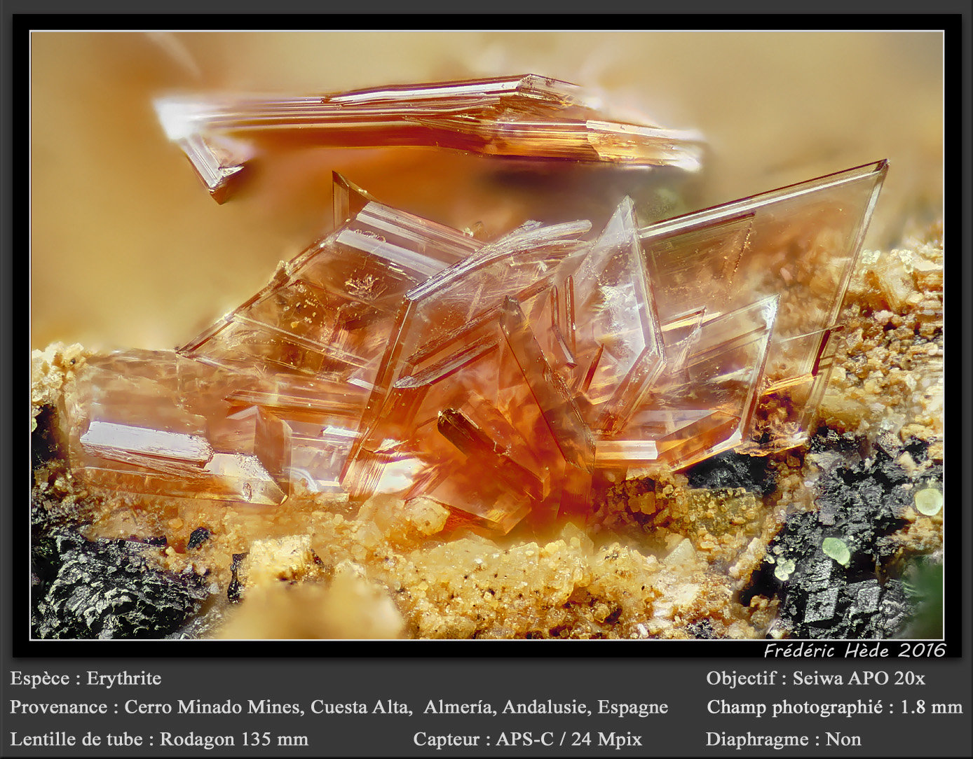 Erythrite with Conichalcite
fov 1.8 mm
(Autor: ploum)