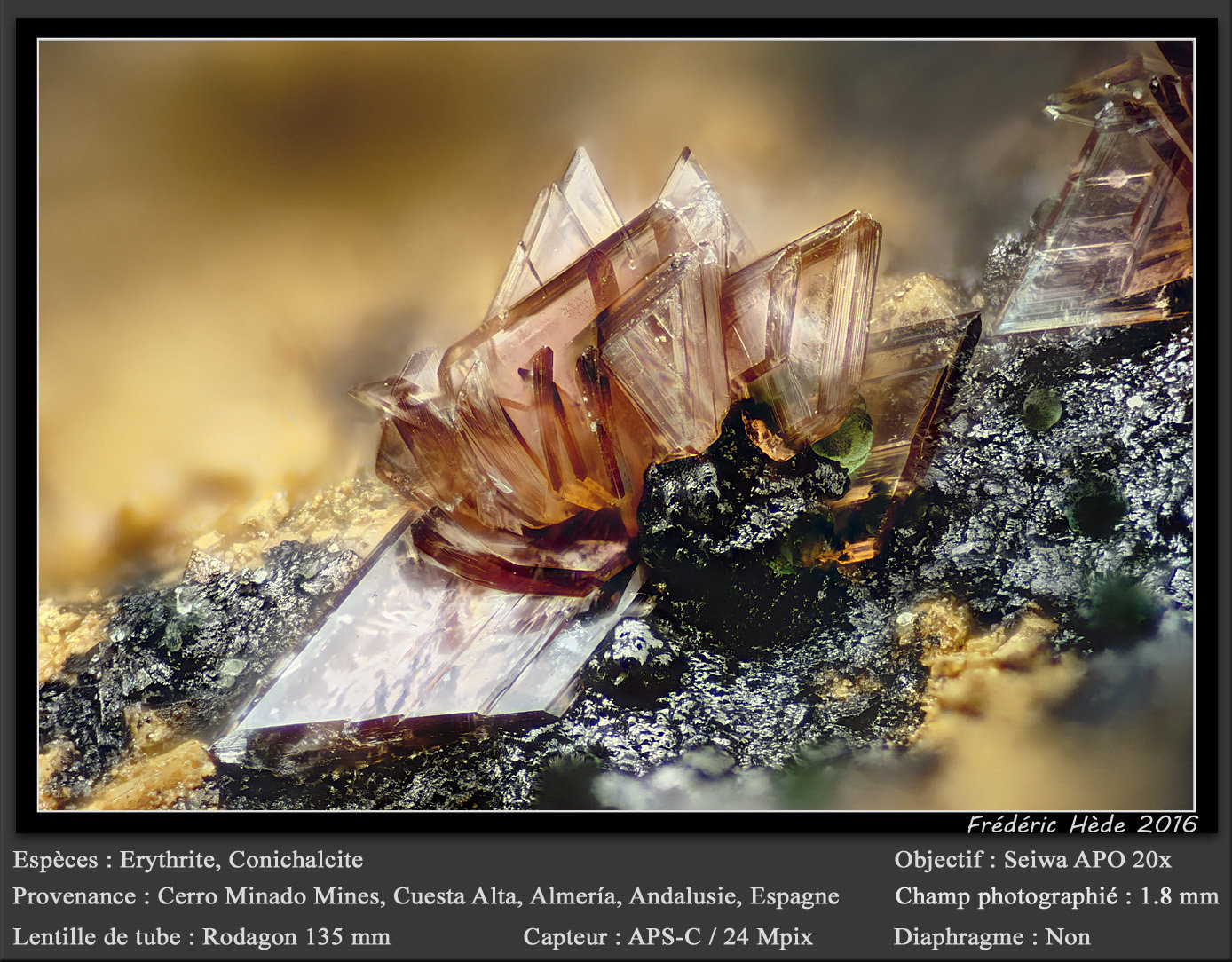 Erythrite with Conichalcite
fov 1.8 mm
(Autor: ploum)