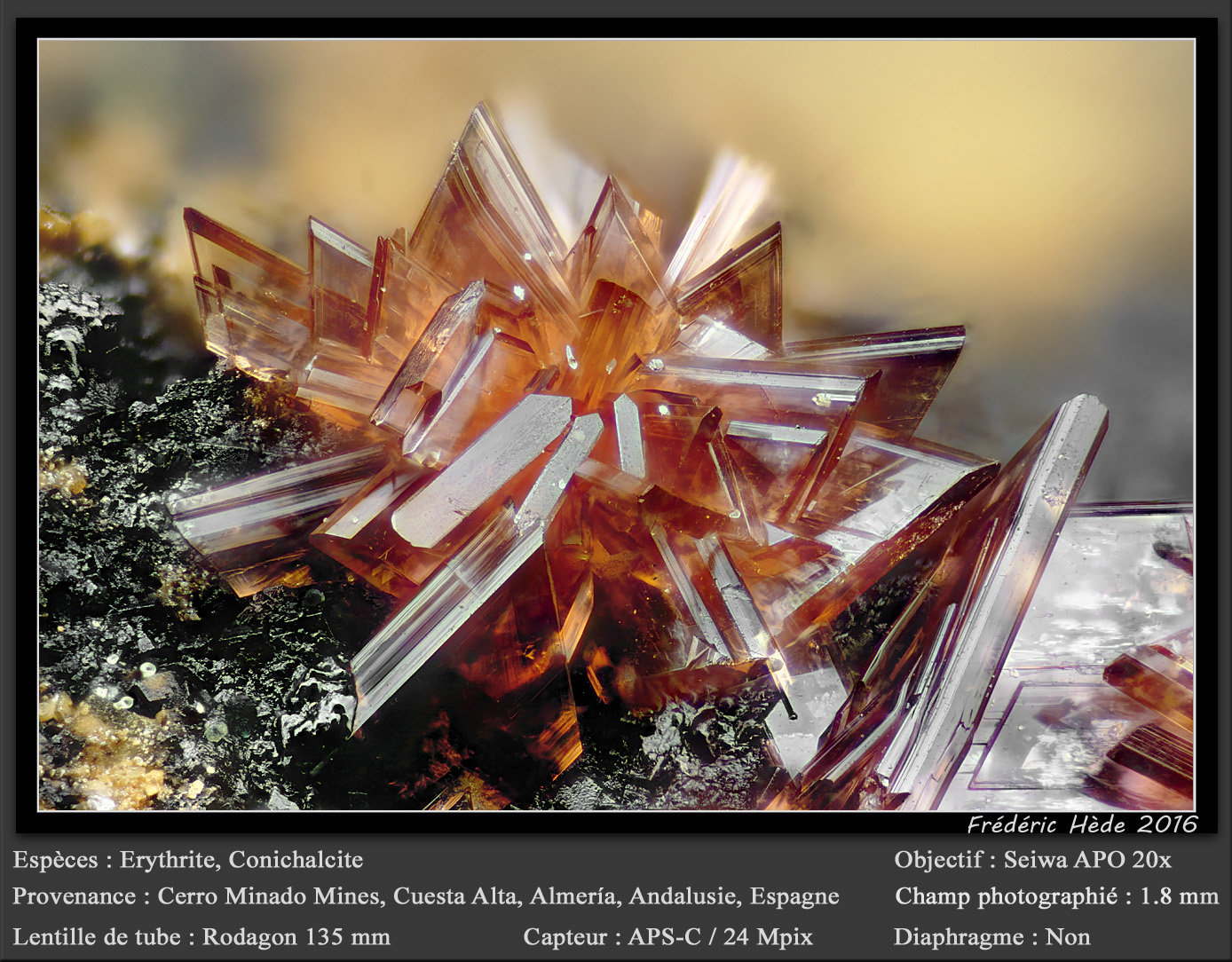 Erythrite with Conichalcite
fov 1.8 mm
(Autor: ploum)