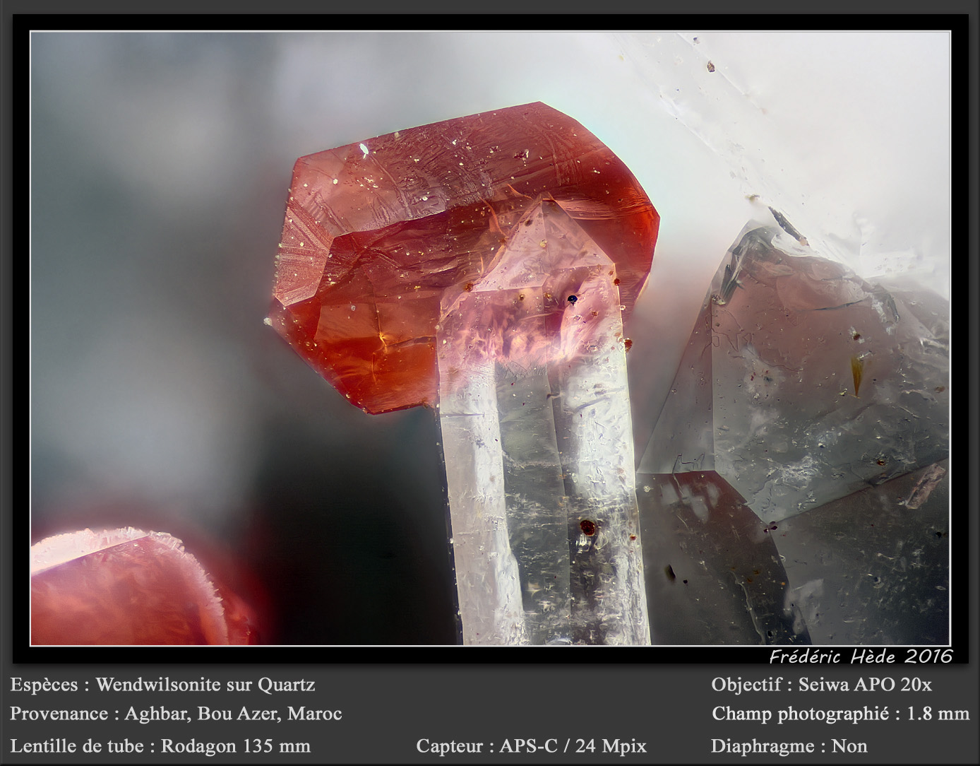 Wendwilsonite on Quartz
fov 1.8 mm
(Autor: ploum)