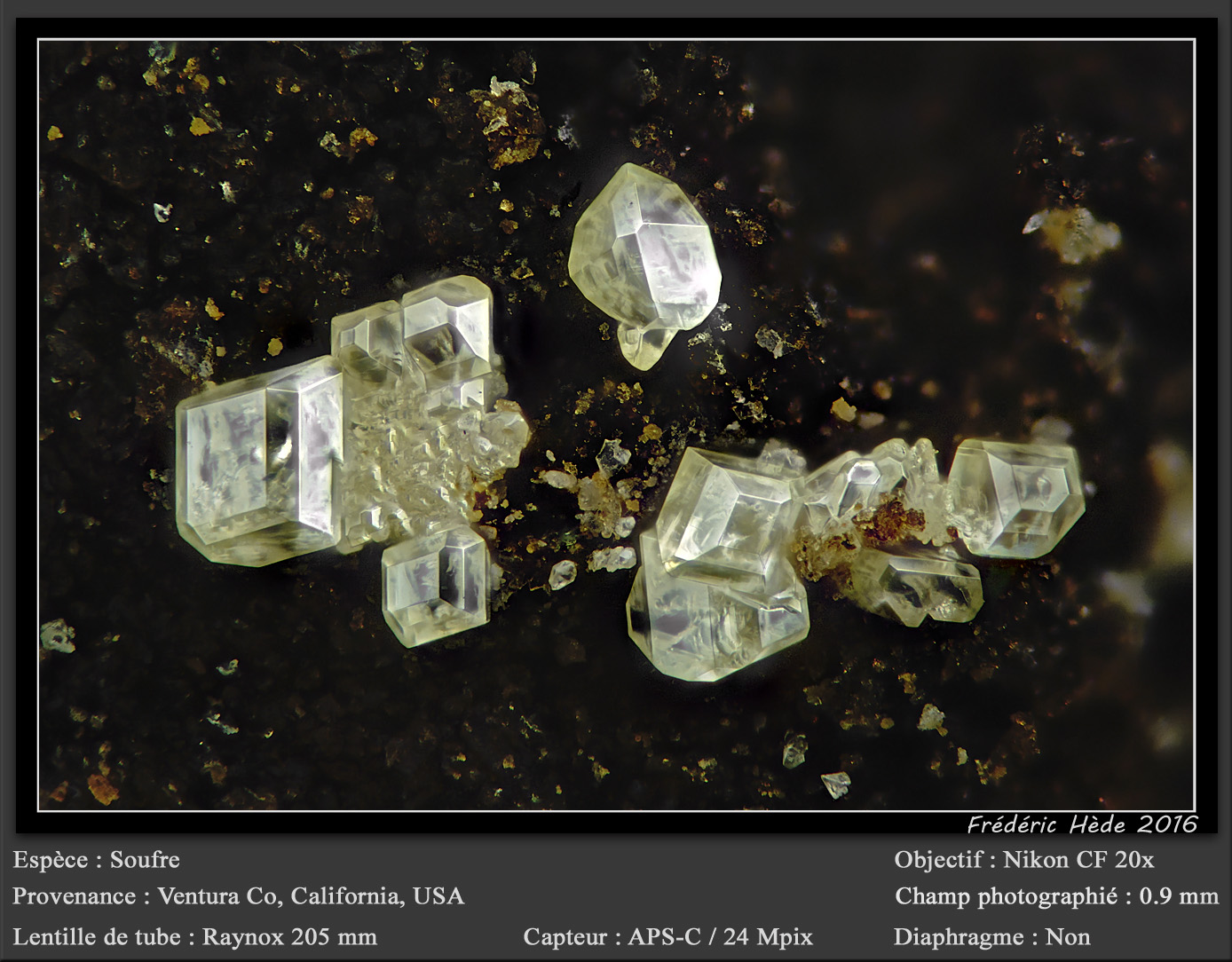 Sulphur
fov 0.9 mm
(Autor: ploum)