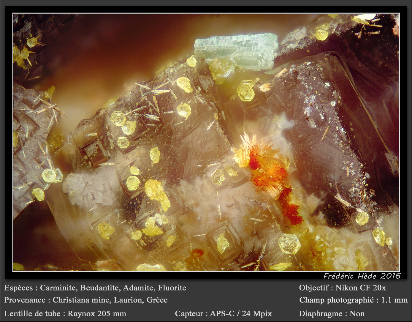 Carminite, Beudantite, Adamite, Fluorite
fov 1.1 mm
(Autor: ploum)
