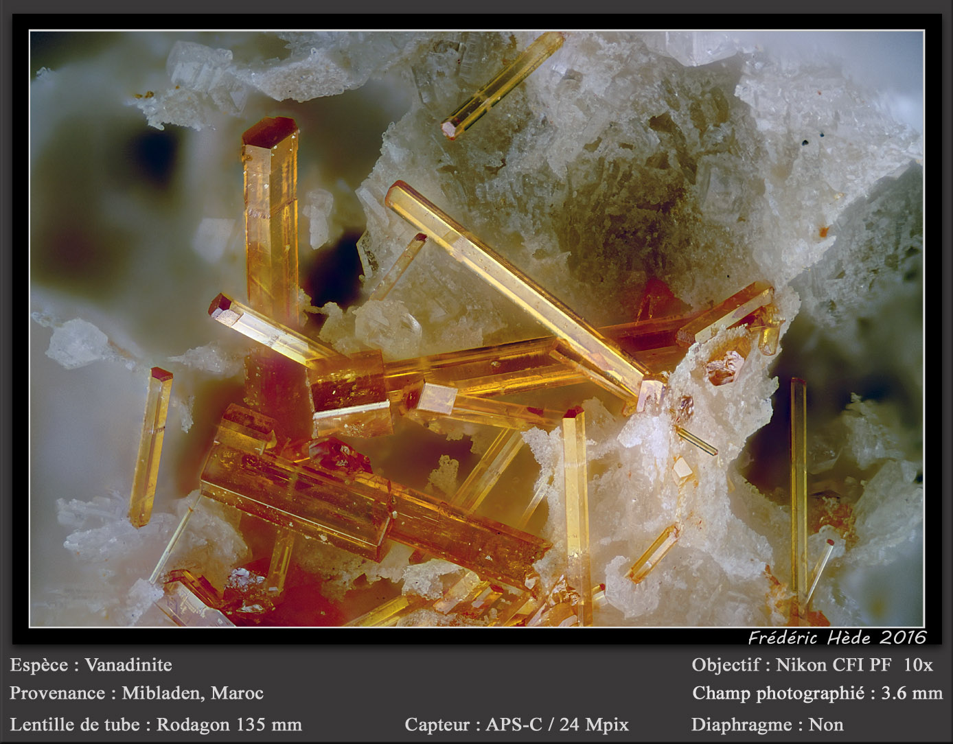 Vanadinite
fov 3.6 mm
(Autor: ploum)