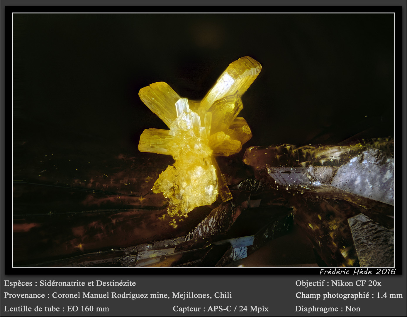 Sideronatrite on Destinezite
fov 1.4 mm
(Autor: ploum)